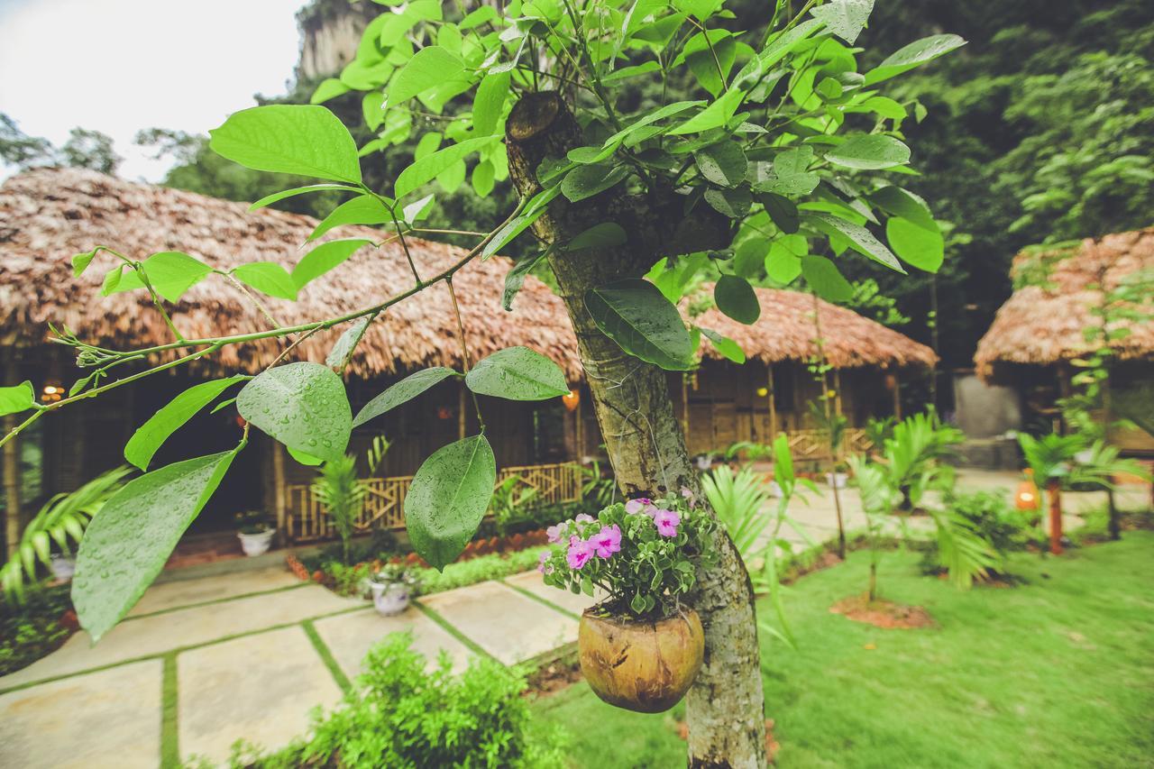 Tam Coc Rice Fields Resort Ninh Binh Exteriér fotografie